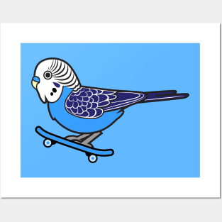 Blue Skateboarding Budgie Posters and Art